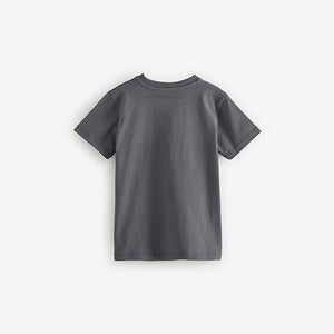 Grey Licensed Minecraft T-Shirt