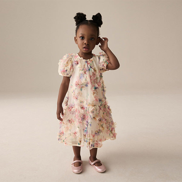 Multi Floral Mesh Party Dress (6mths-6yrs)