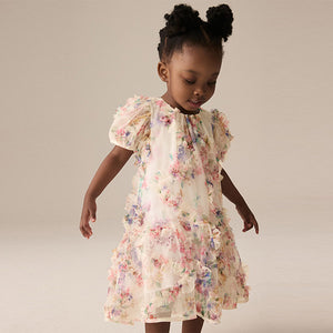 Multi Floral Mesh Party Dress (6mths-6yrs)