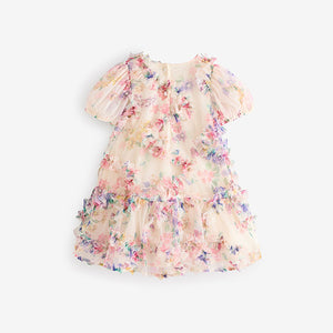 Multi Floral Mesh Party Dress (6mths-6yrs)