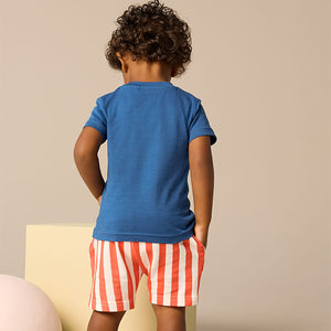 Blue Short Sleeve T-Shirt & Pattern Shorts Set