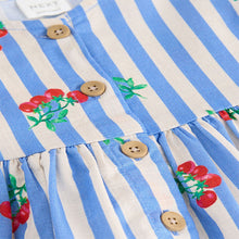 Load image into Gallery viewer, Blue Tomato Stripe Button Up Summer Dress (3mths-6yrs)
