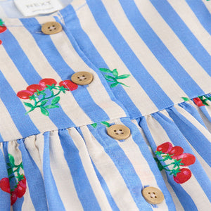Blue Tomato Stripe Button Up Summer Dress (3mths-6yrs)