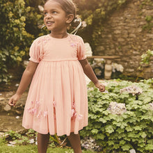 Load image into Gallery viewer, Pink Embroidered Mesh Dress (3mths-6yrs)
