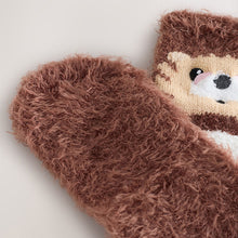 Load image into Gallery viewer, Hedgehog 1 Pack Cosy Ankle Socks in a Gift Box
