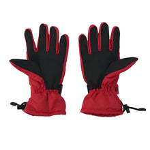 Load image into Gallery viewer, SKI GLOVES HOLO 7004
