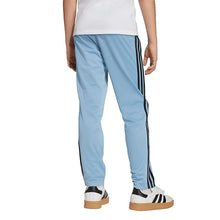 Load image into Gallery viewer, Adicolor Firebird Pants
