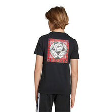 Load image into Gallery viewer, Graphic Tee Kids
