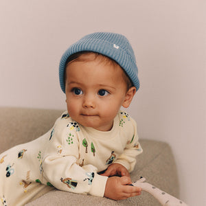 Blue/Grey Baby Beanie Hats 2 Pack (0mths-18mths)