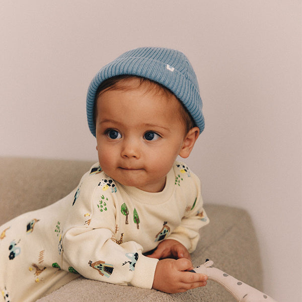 Blue/Grey Baby Beanie Hats 2 Pack (0mths-18mths)