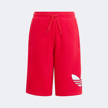 Load image into Gallery viewer, TR LO SHORTS
