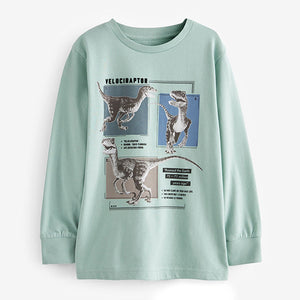 Mineral Dinosaurs Long Sleeve Graphic T-Shirts 3 Pack (3-10yrs)