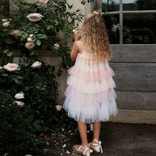 Load image into Gallery viewer, Pink/ Pastel Rainbow Tiered Mesh Party Dress (3-11yrs)
