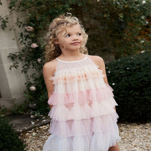Load image into Gallery viewer, Pink/ Pastel Rainbow Tiered Mesh Party Dress (3-11yrs)
