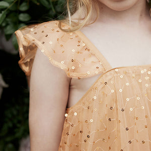 Gold Sequin Tulle Party Dress (3-12yrs)