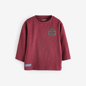 Blue/Green Long Sleeve Character T-Shirts 4 Pack (3mths-6yrs)