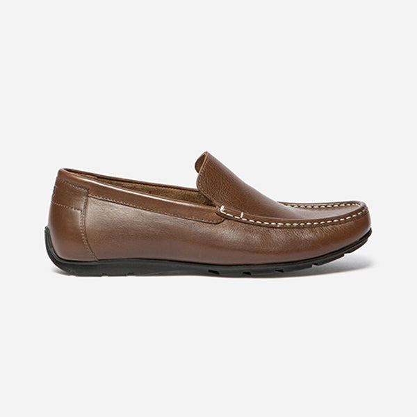 SAURIC MARRON