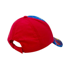 Load image into Gallery viewer, CAP HOLO SPI24
