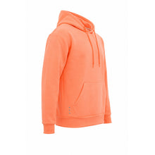 Load image into Gallery viewer, HOODIE LUC SW01
