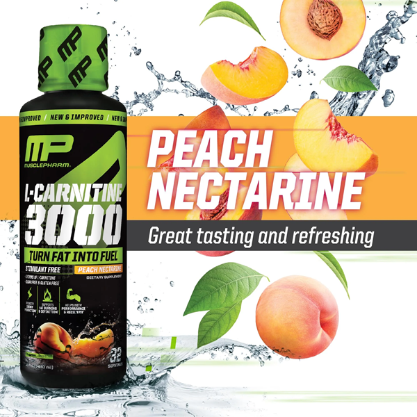 Musclepharm L-Carnitine 3000