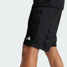 Load image into Gallery viewer, Train Essentials Logo Regular Fit Shorts Kids
