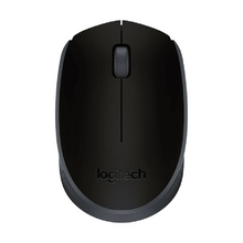 Load image into Gallery viewer, M171 Wireless Mouse
