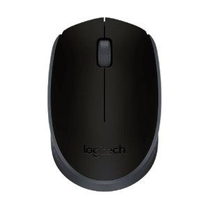 M171 Wireless Mouse