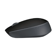 Load image into Gallery viewer, M171 Wireless Mouse
