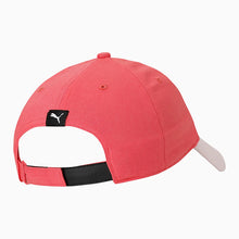 Load image into Gallery viewer, ANIMALS PINCH PANEL YOUTH BASEBALL CAP - Allsport
