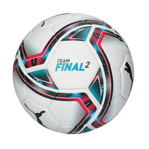 teamFINAL 21.2 FIFA Quality Pro Ball - Allsport