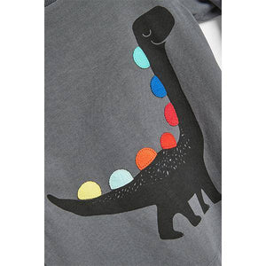 Grey Long Sleeve Rainbow Spikes Dino Jersey T-Shirt (3mths-3yrs) - Allsport
