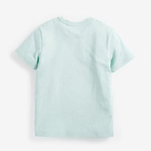 Mint Short Sleeve Crew Neck T-Shirt (3-12yrs) - Allsport