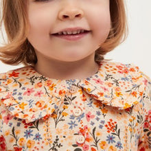 Load image into Gallery viewer, Orange Tea Dress (3mths-6yrs) - Allsport
