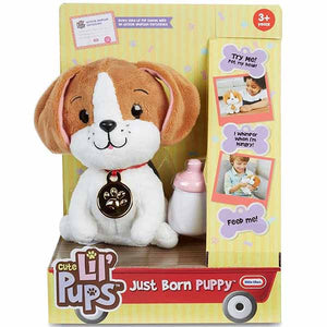Just Born Puppy - Beagle - Allsport