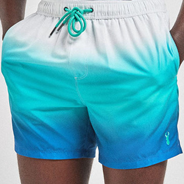 Aqua Ombre Print Swim Shorts - Allsport