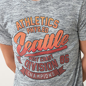 Grey Seattle Regular Fit Graphic T-Shirt - Allsport