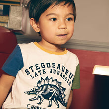 Load image into Gallery viewer, Dino Hotch Potch Short Sleeve Character T-Shirt (3mths-5yrs)
