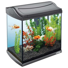 Load image into Gallery viewer, AQUAART LED SET CRAYF ANTHR 30L - Allsport
