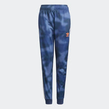Load image into Gallery viewer, SST PANT - Allsport
