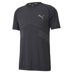 EVOSTRIPE Seamless Tee Pu.BlK - Allsport