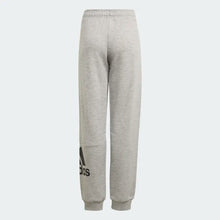 Load image into Gallery viewer, ESSENTIALS FRENCH TERRY PANTS - Allsport
