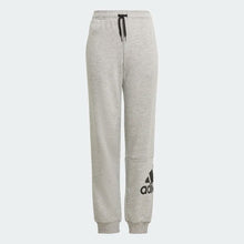 Load image into Gallery viewer, ESSENTIALS FRENCH TERRY PANTS - Allsport
