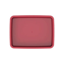 Load image into Gallery viewer, COSMOPLAST Small Multipurpose Universal Tray
