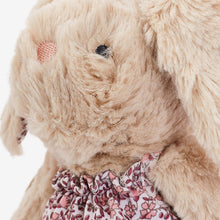 Load image into Gallery viewer, Caramel Brown Bunny Teddy - Allsport
