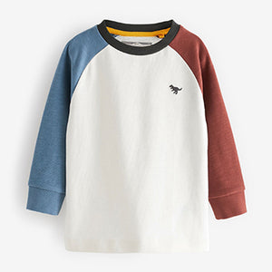 White/ Blue/Brown Cosy Colourblock Long Sleeve T-Shirt (3mths-5yrs)