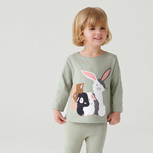 Load image into Gallery viewer, Sage Green Guinea Pig Long Sleeve Cotton T-Shirt (3mths-6yrs)
