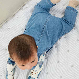 Blue Elephant Applique 2 Piece Baby Denim Dungarees And Bodysuit Set (0mths-18mths)