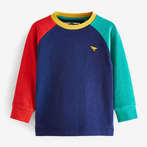 Blue Multicolour Cosy Colourblock Long Sleeve T-Shirt (3mths-6yrs)