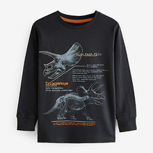 Load image into Gallery viewer, Tan Brown / Navy Blue Dinosaur 3 Pack Long Sleeve Graphic T-Shirts (3-10yrs)
