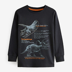 Tan Brown / Navy Blue Dinosaur 3 Pack Long Sleeve Graphic T-Shirts (3-10yrs)